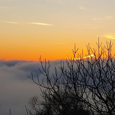 Vila La Colline Du Chat Perche Connac Exteriér fotografie