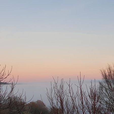 Vila La Colline Du Chat Perche Connac Exteriér fotografie