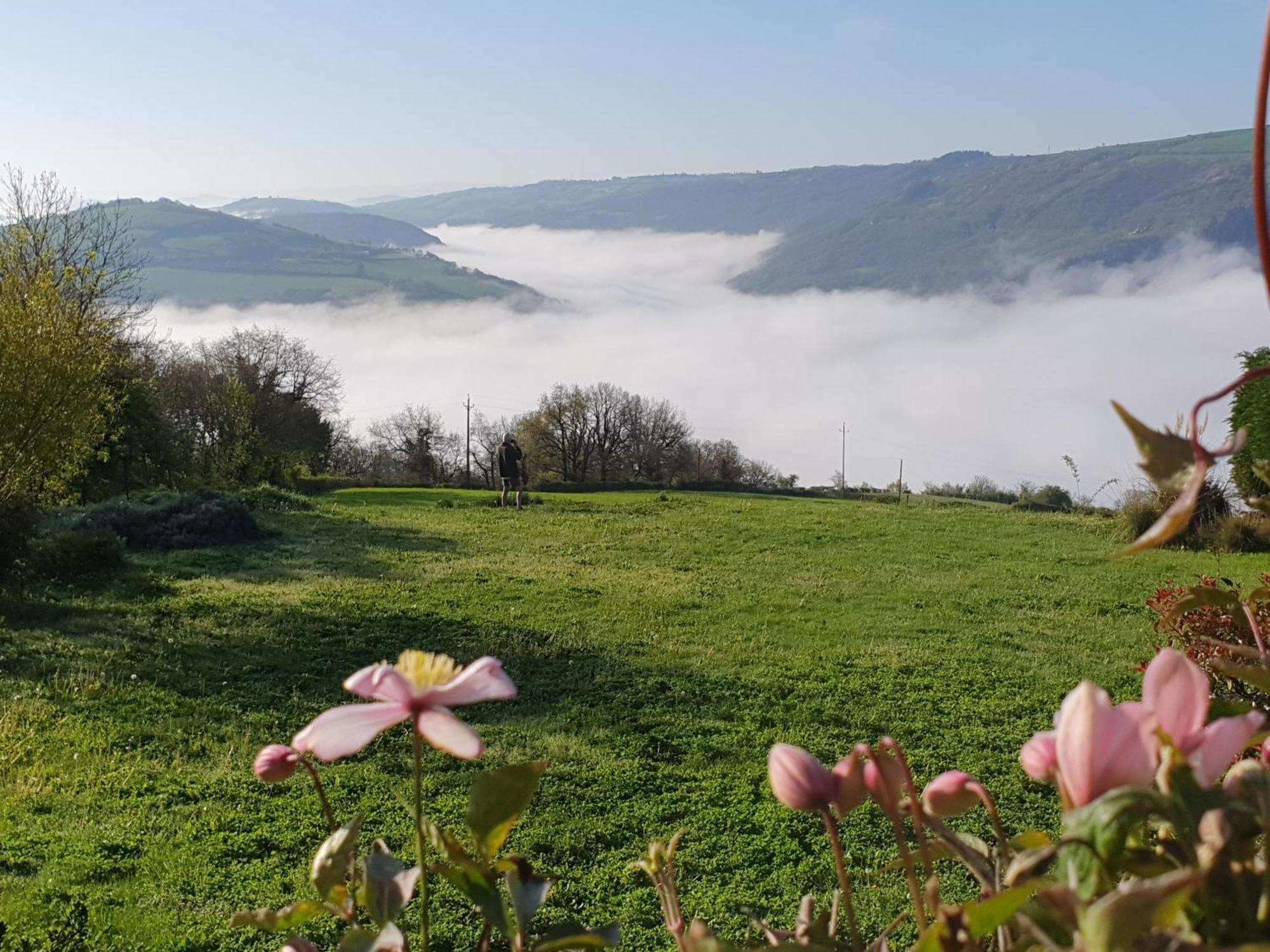 Vila La Colline Du Chat Perche Connac Exteriér fotografie